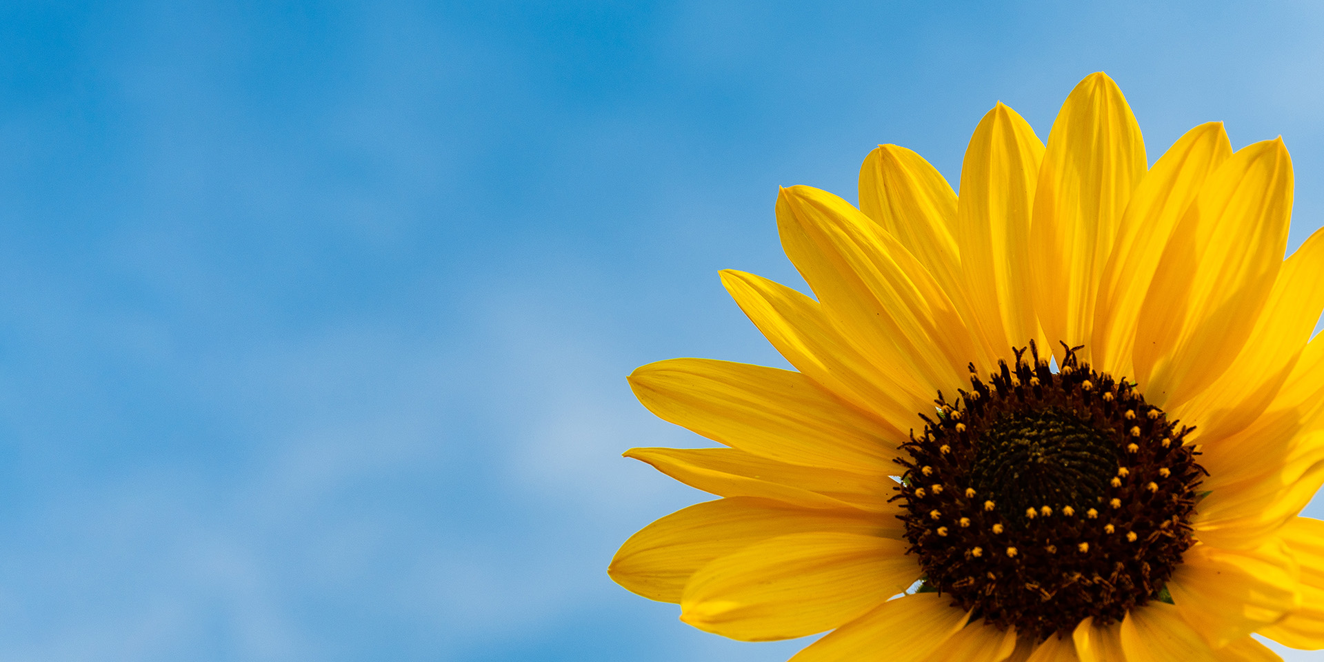 KU酷游·(中国区)官方网站